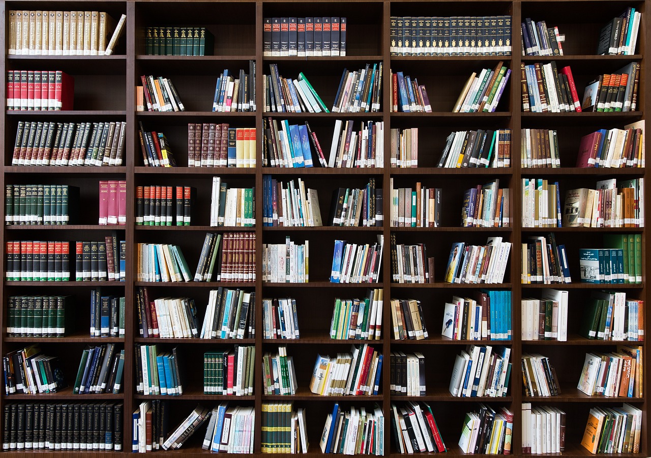 Bookcases with many books